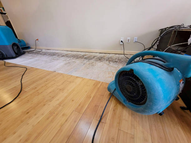 Professional Structural Drying technician working in Yaphank, NY